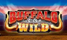 Buffalo goes wild